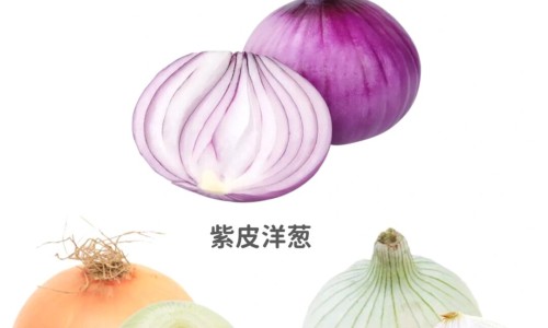 【新西兰牛初乳奶片品牌】新西兰牛初乳奶片品牌 - 新西兰牛初乳的功效网